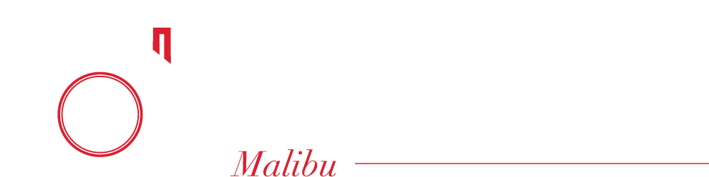 norris homes logo white red horizontal